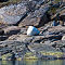 im Fjord vor Nuuk