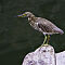 Rajasthan-2011-2120.jpg