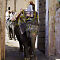 Rajasthan-2011-2299.jpg