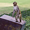Rajasthan-2011-2767.jpg